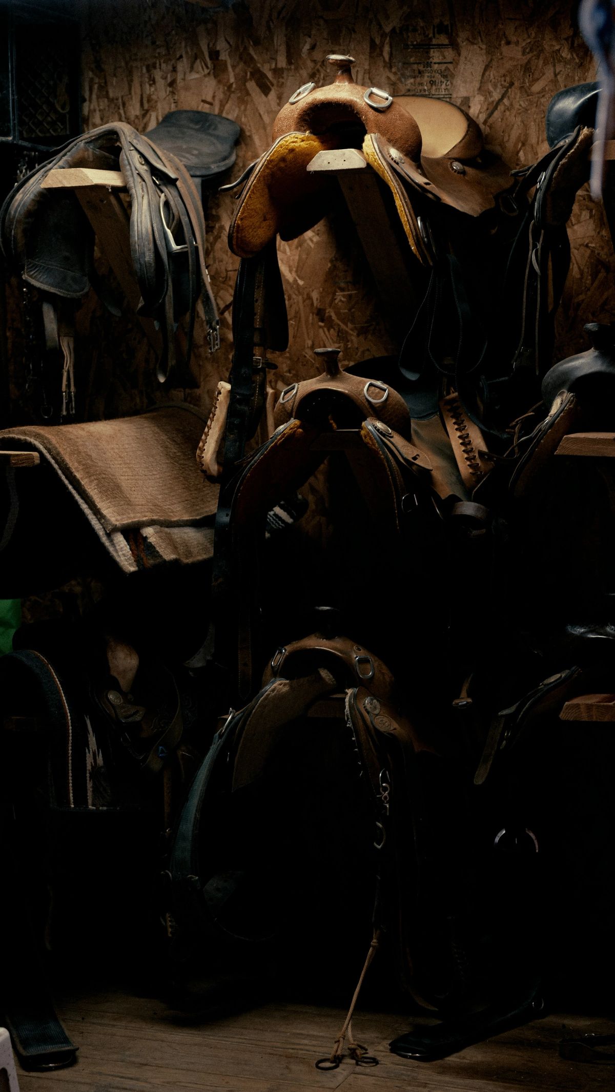 Saddles in the tack room