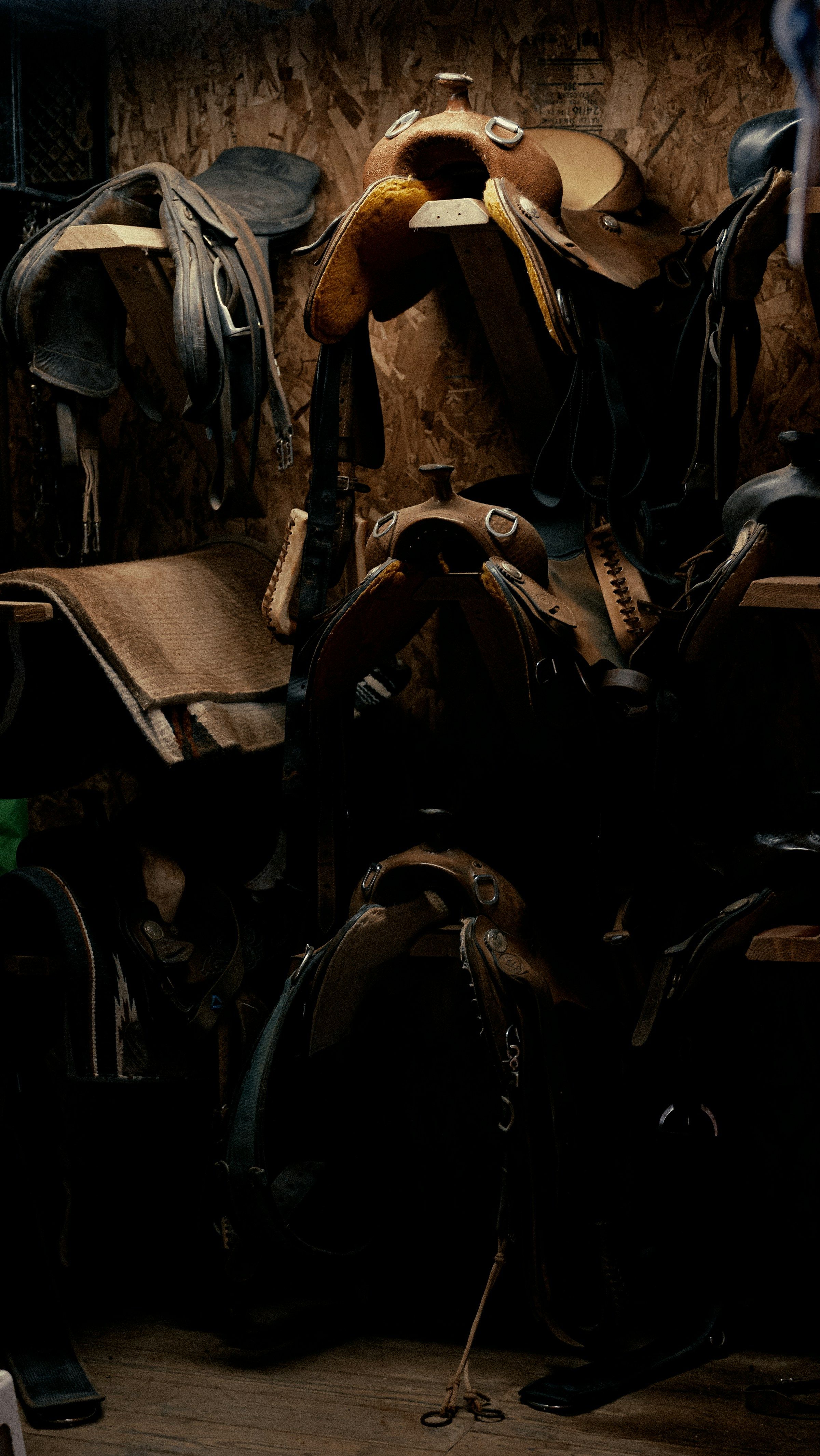 Saddles in the tack room