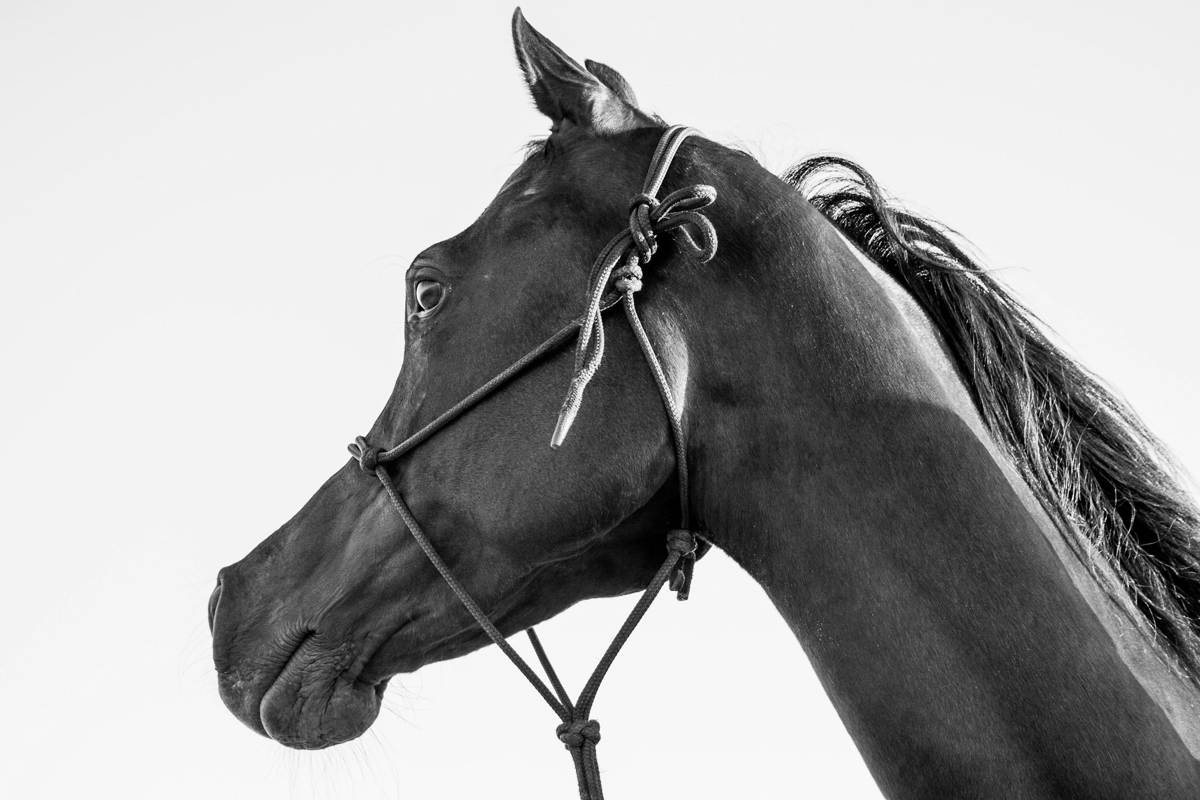 Valerian's head in profile against a pale sky