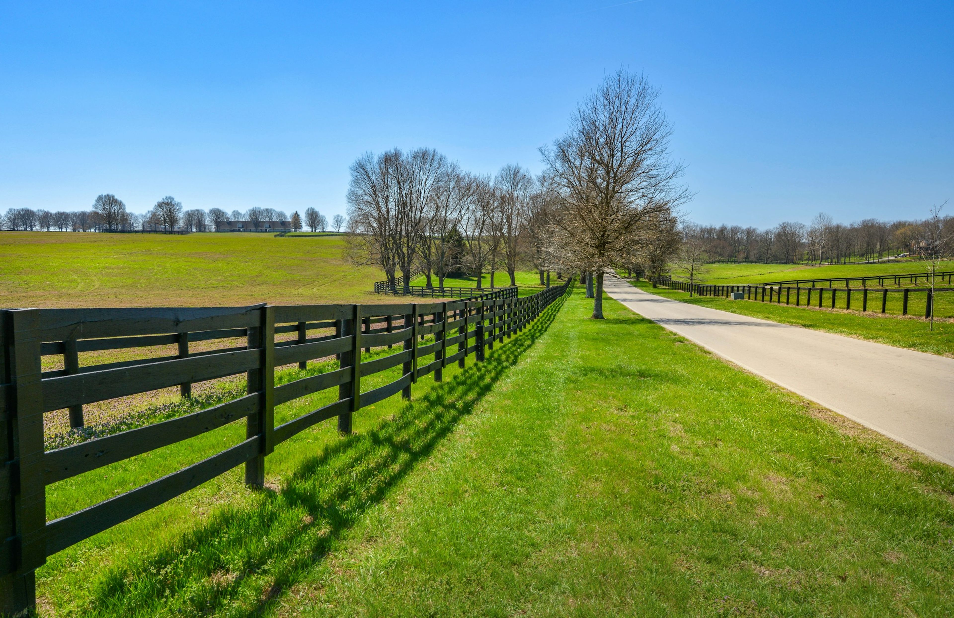 A quiet road beside black paddock fencing