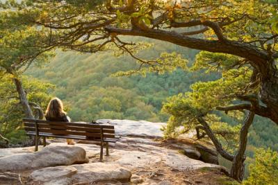 Mindfulness – Øyeblikkets- og tilstedeværelsens betydning