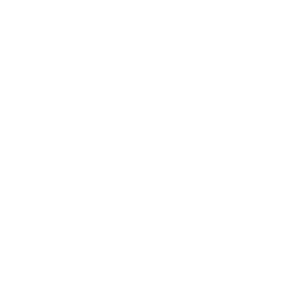 Partner logo for Tolstoy