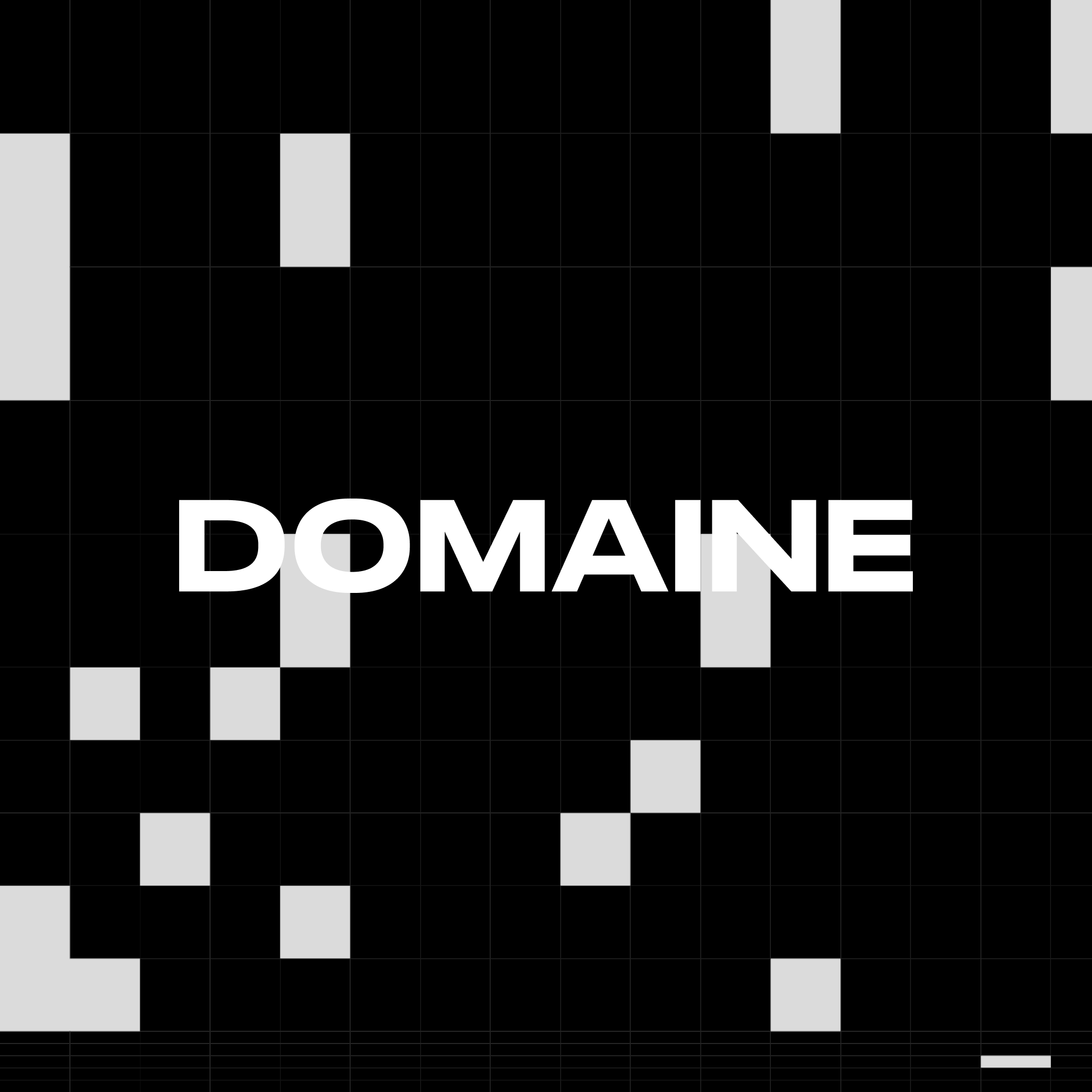 Domaine logo on a black background with abstract grey squares