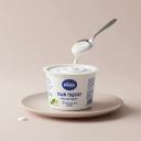 Plain low-fat yogurt