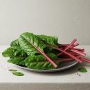 Swiss chard