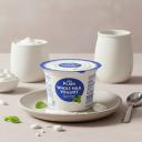 Plain Whole Milk Yogurt