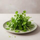 Watercress