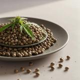 Hemp Seeds