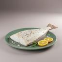 Halibut