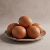 Turkey Eggs