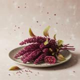 Amaranth