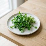 Watercress (as herb)