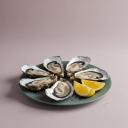 Oysters