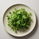 Chervil