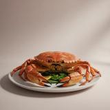 Crab