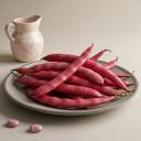 Scarlet Runner Beans