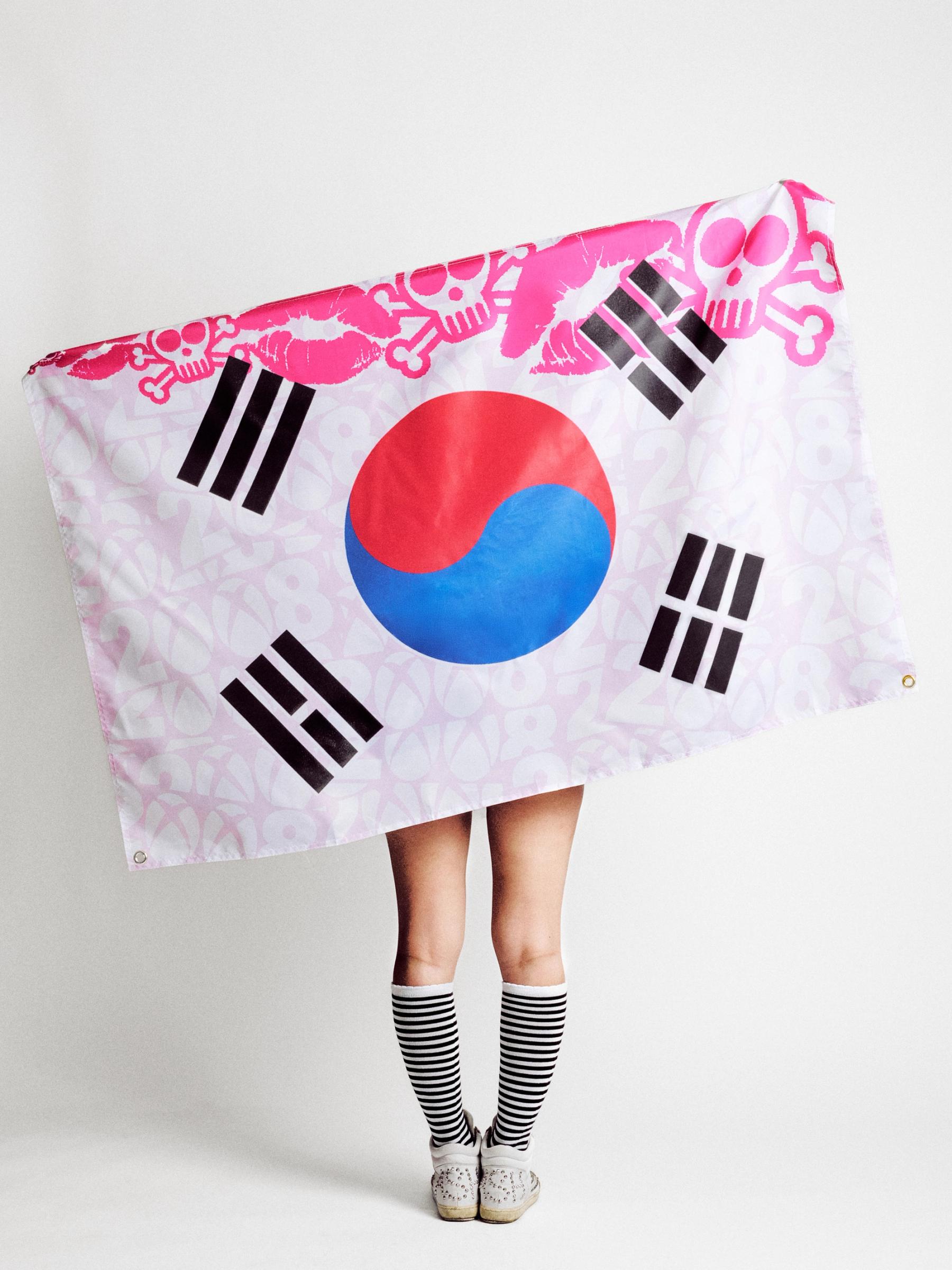 Big Korean flag 
