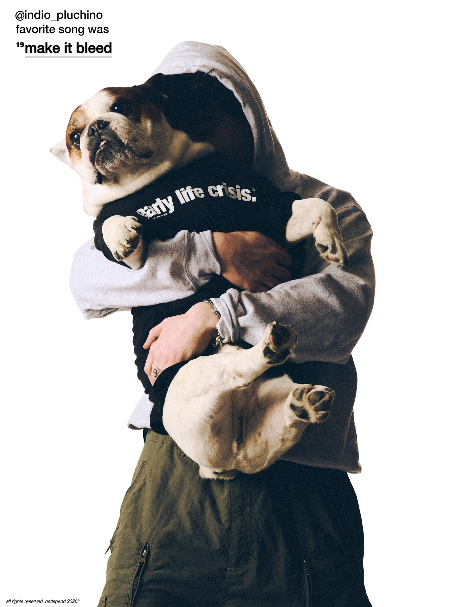 Early Life Crisis Lookbook  : NettSpend