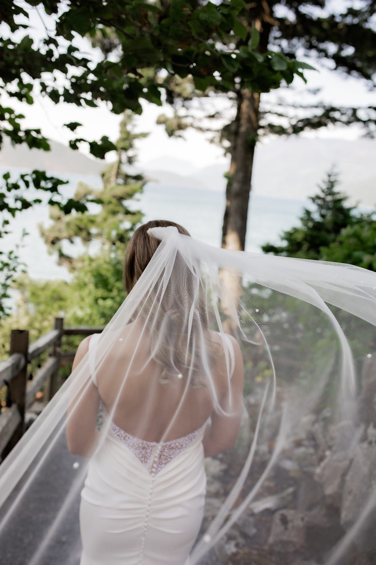 Bride from behind with cathedral veil in natural setting