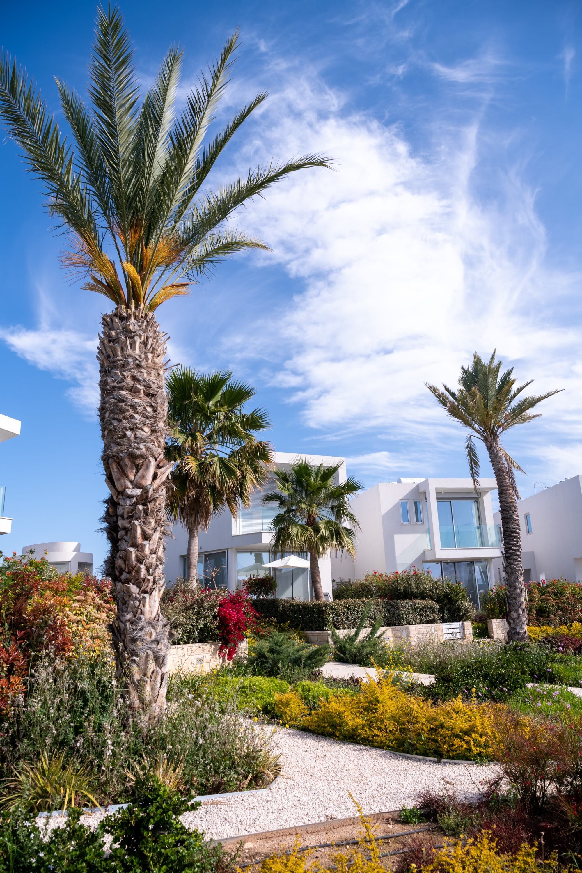 Buy Seafront Villas in Coral Bay – Coral Seas Paphos