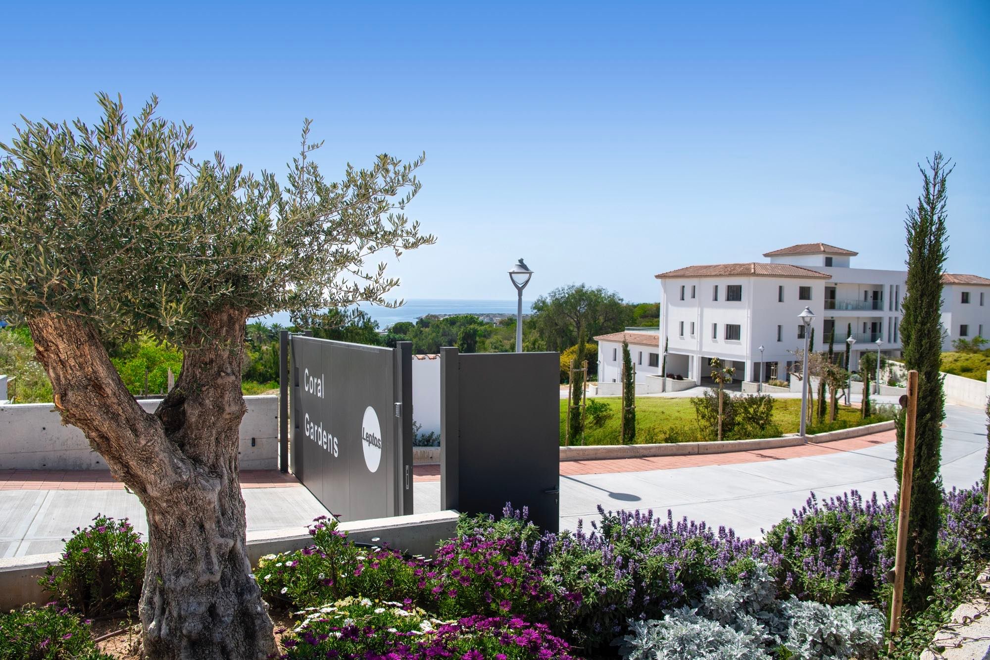 Buy Coastal Apartments in Coral Bay – Coral Gardens Paphos
