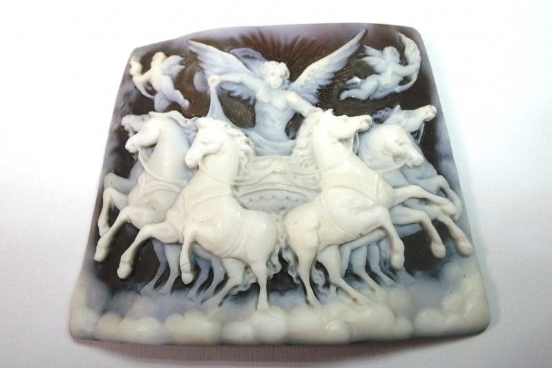 cameo casco cameo scognamiglio