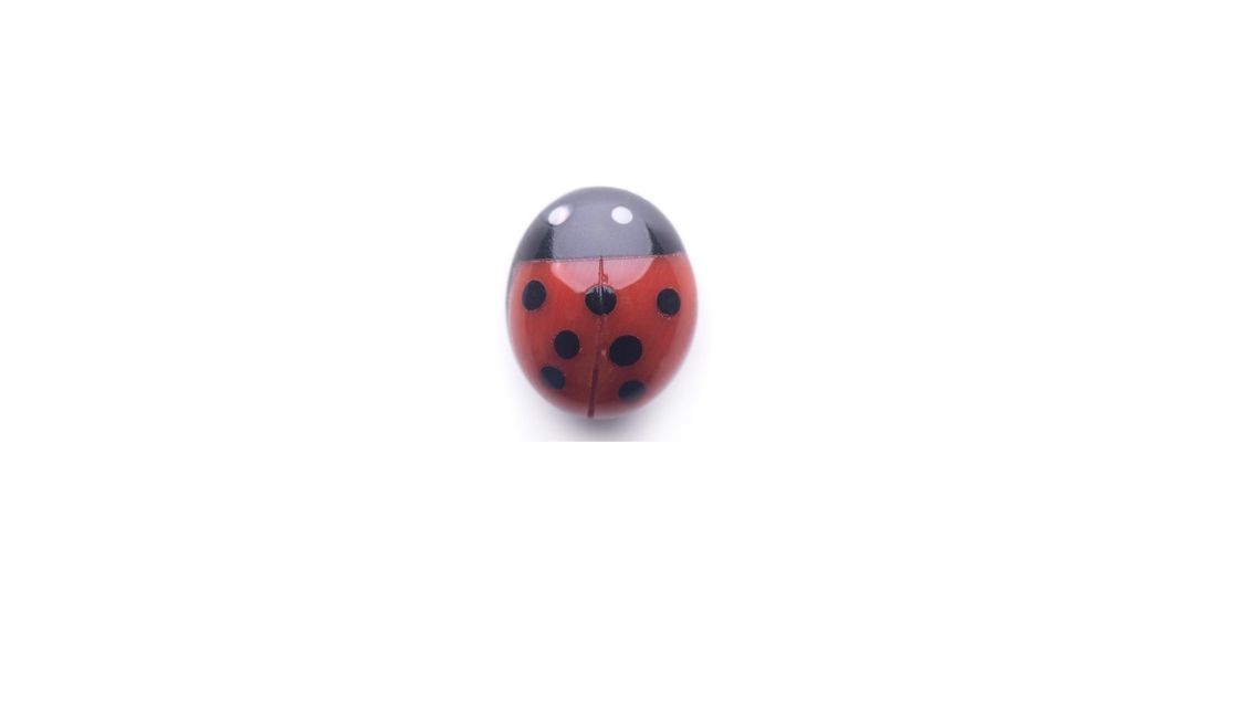 orecchino coccinella