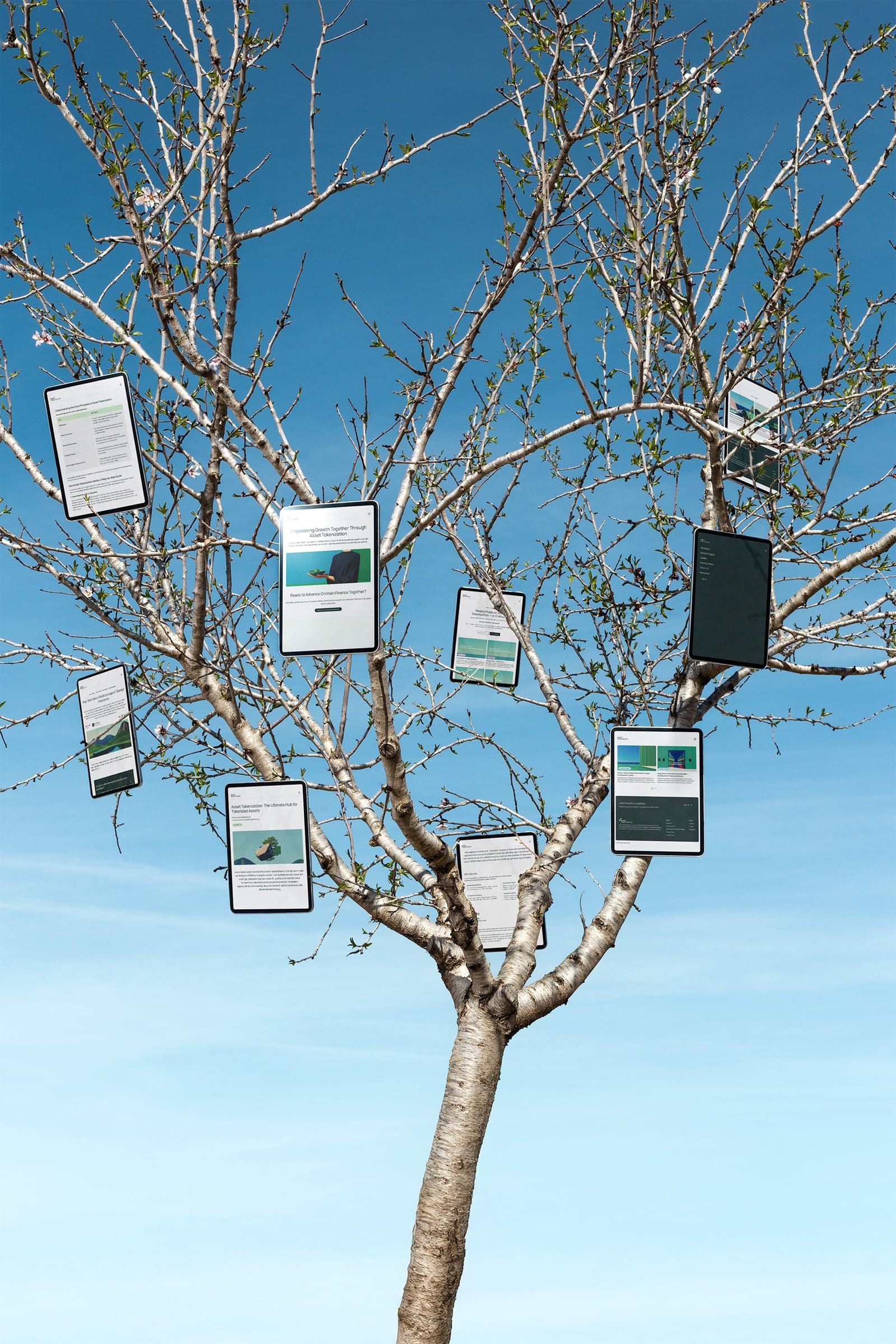 Asset Tokenization screens hanging in a tree
