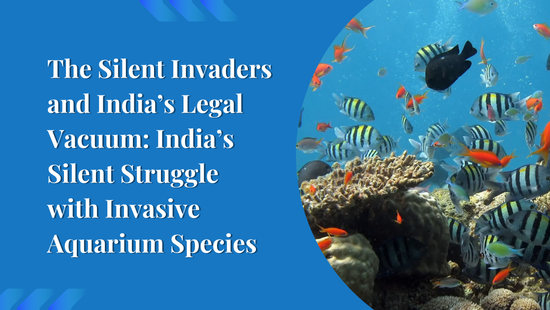 The Silent Invaders and India’s Legal Vacuum: India’s Silent Struggle with Invasive Aquarium Species