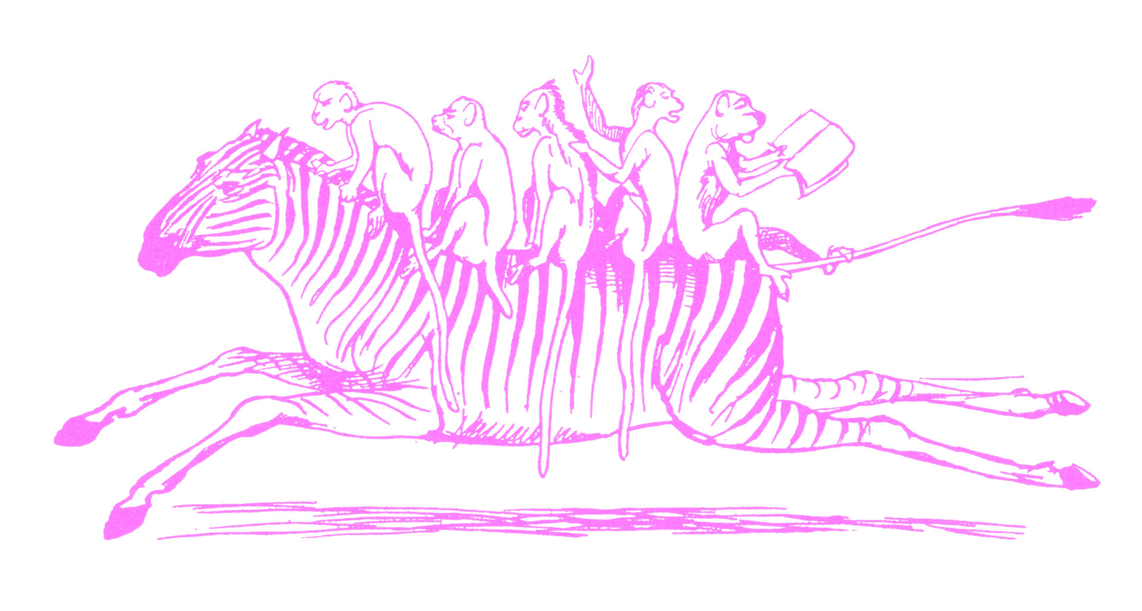 pink doodle of five monkeys riding on the back of a galloping zebra