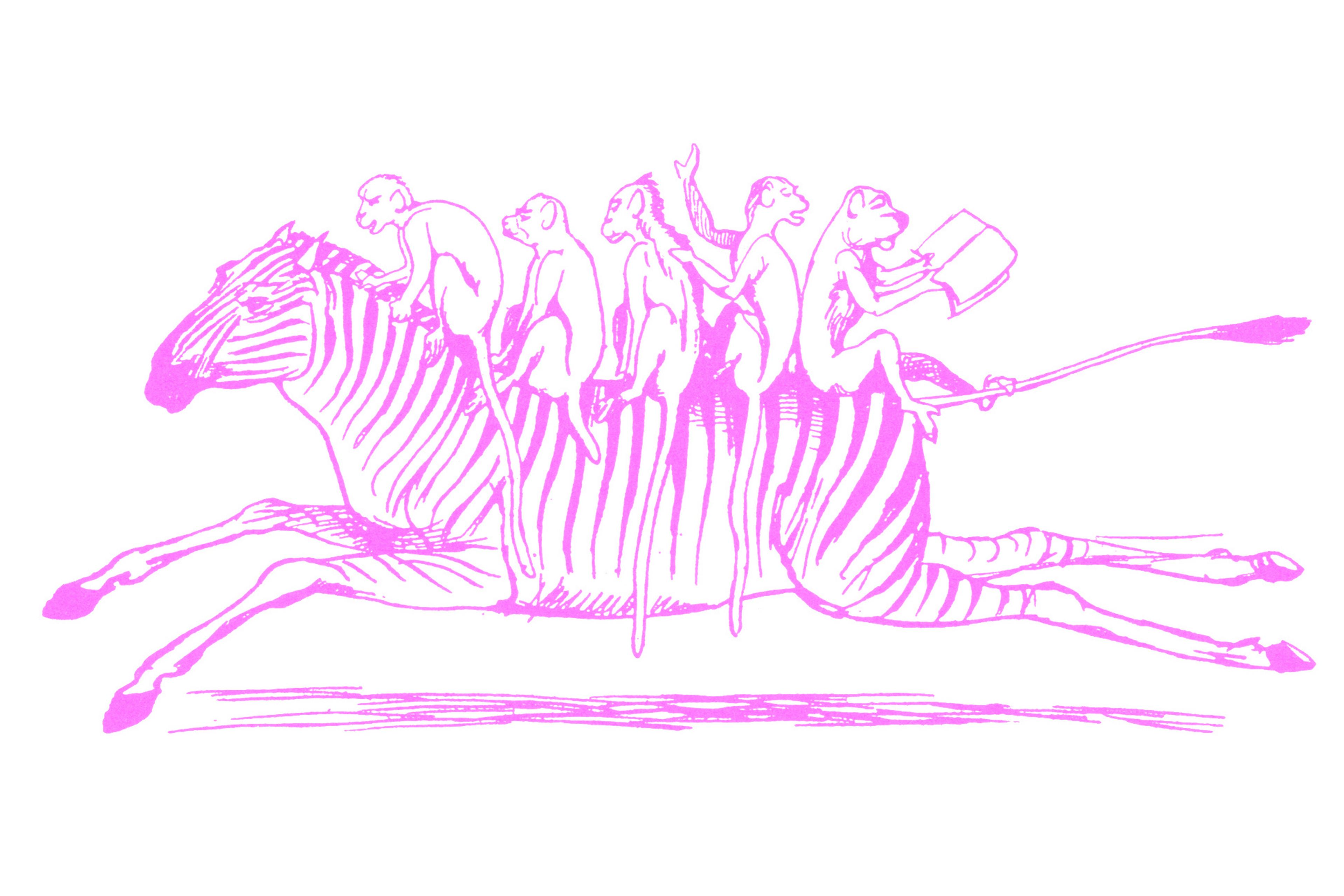 pink doodle of five monkeys riding on the back of a galloping zebra
