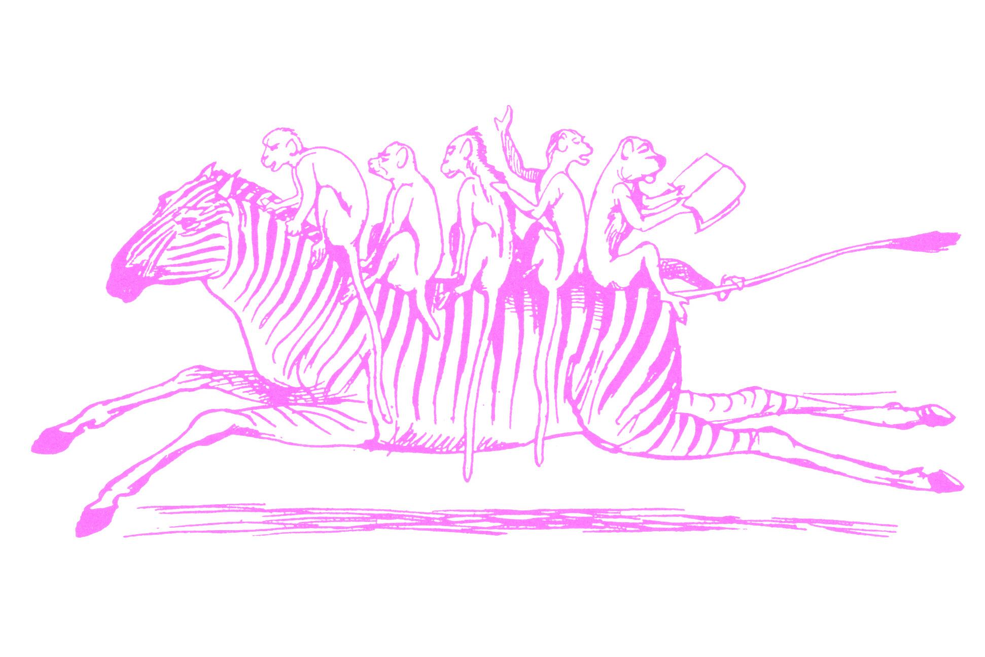 pink doodle of five monkeys riding on the back of a galloping zebra