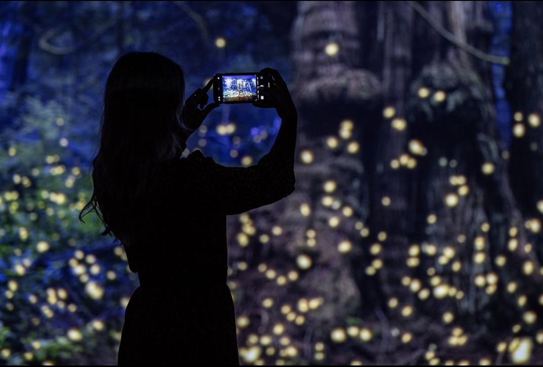 A person stands in front of some of the art from the Mediale event, with the camera we see this picture from being placed behind them, framed in a mid shot. They are taking a picture themselves, on their phone, of whats in front of them. We see the art via this sense, as the photographer of the whole scene has the person and their phone in focus, with a short depth of field