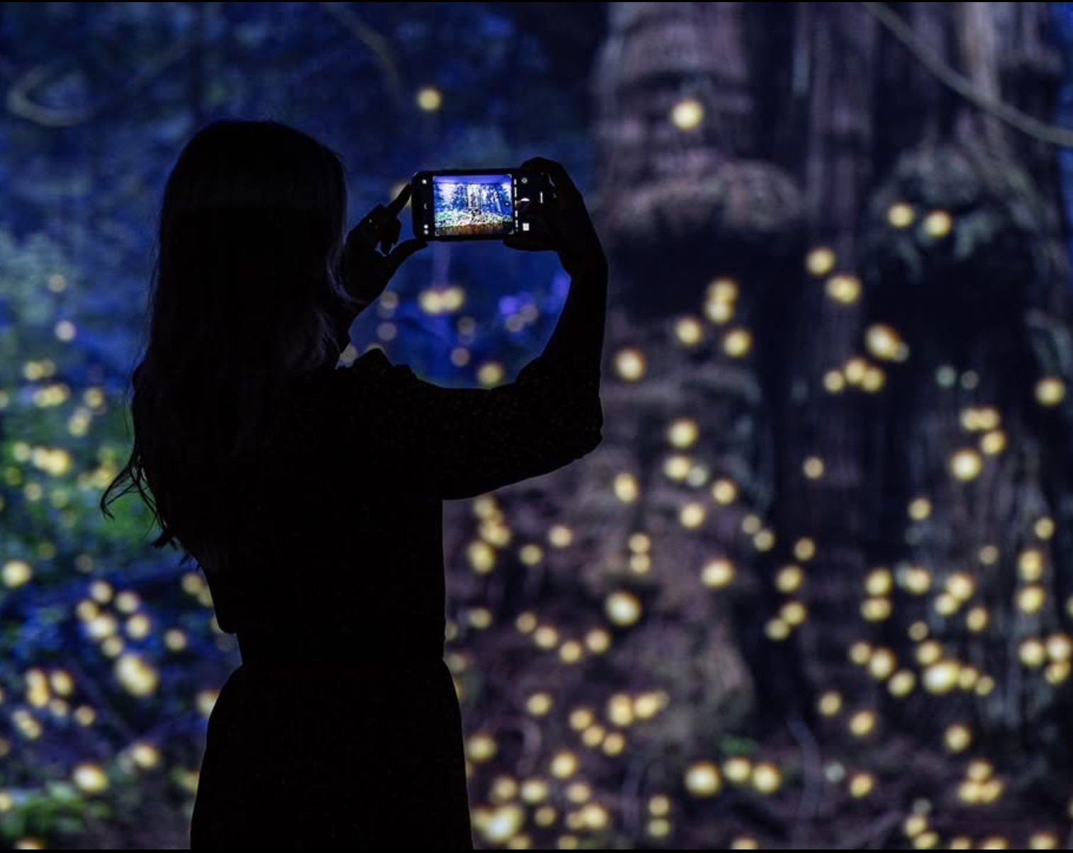 A person stands in front of some of the art from the Mediale event, with the camera we see this picture from being placed behind them, framed in a mid shot. They are taking a picture themselves, on their phone, of whats in front of them. We see the art via this sense, as the photographer of the whole scene has the person and their phone in focus, with a short depth of field