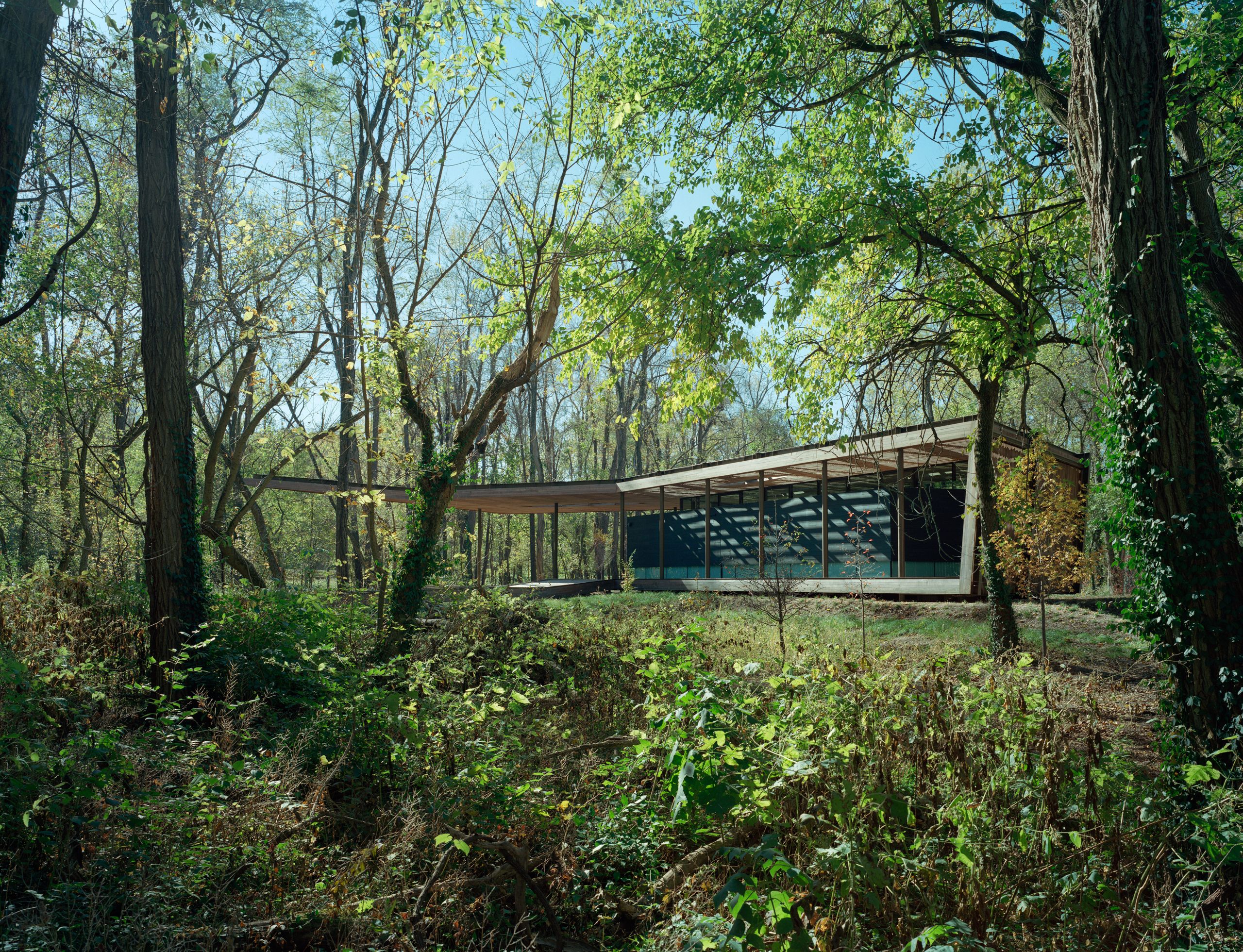 Ruth Lilly Visitors Center | Marlon Blackwell Architects