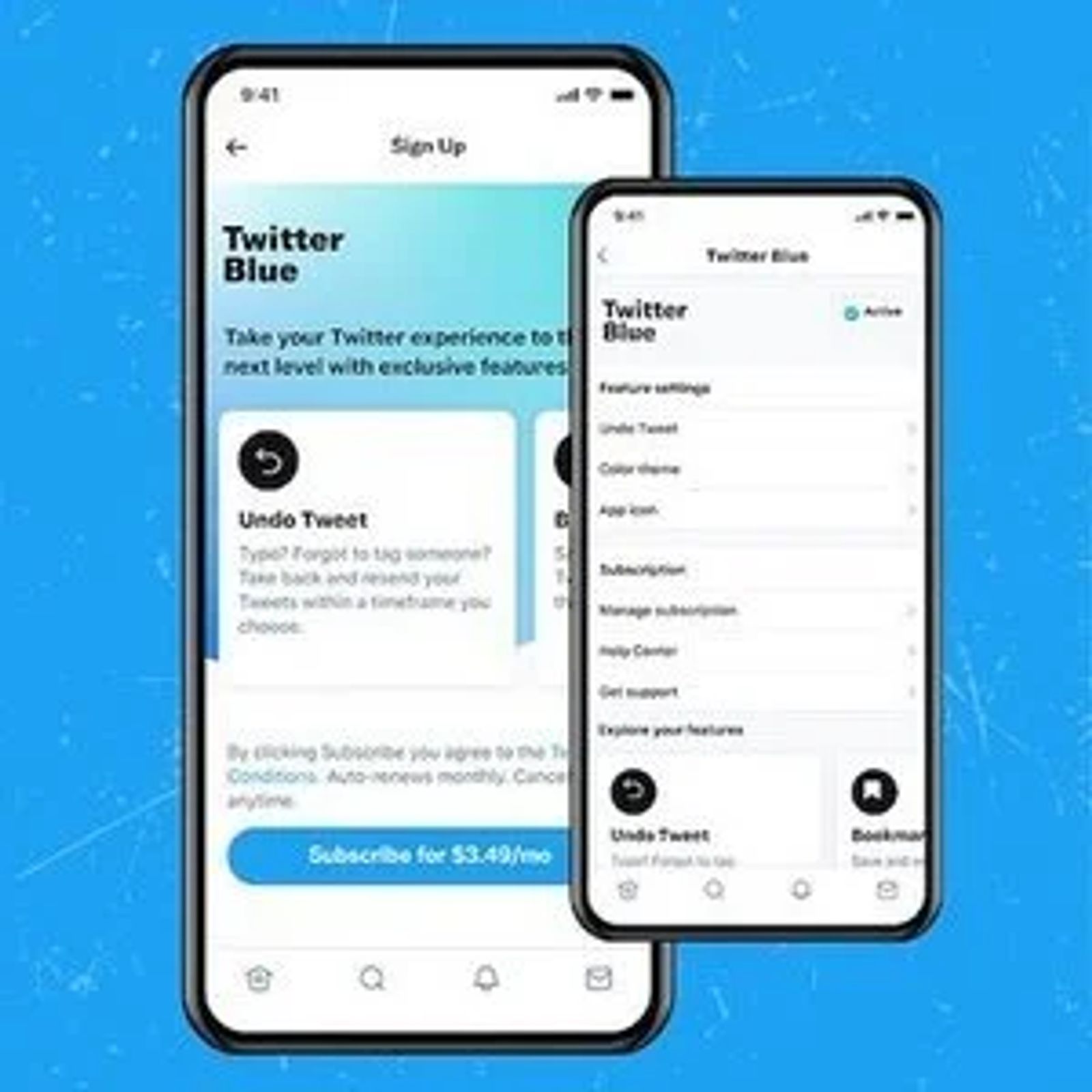 Why So Blue? Twitter Pioneers a Premium Platform Model