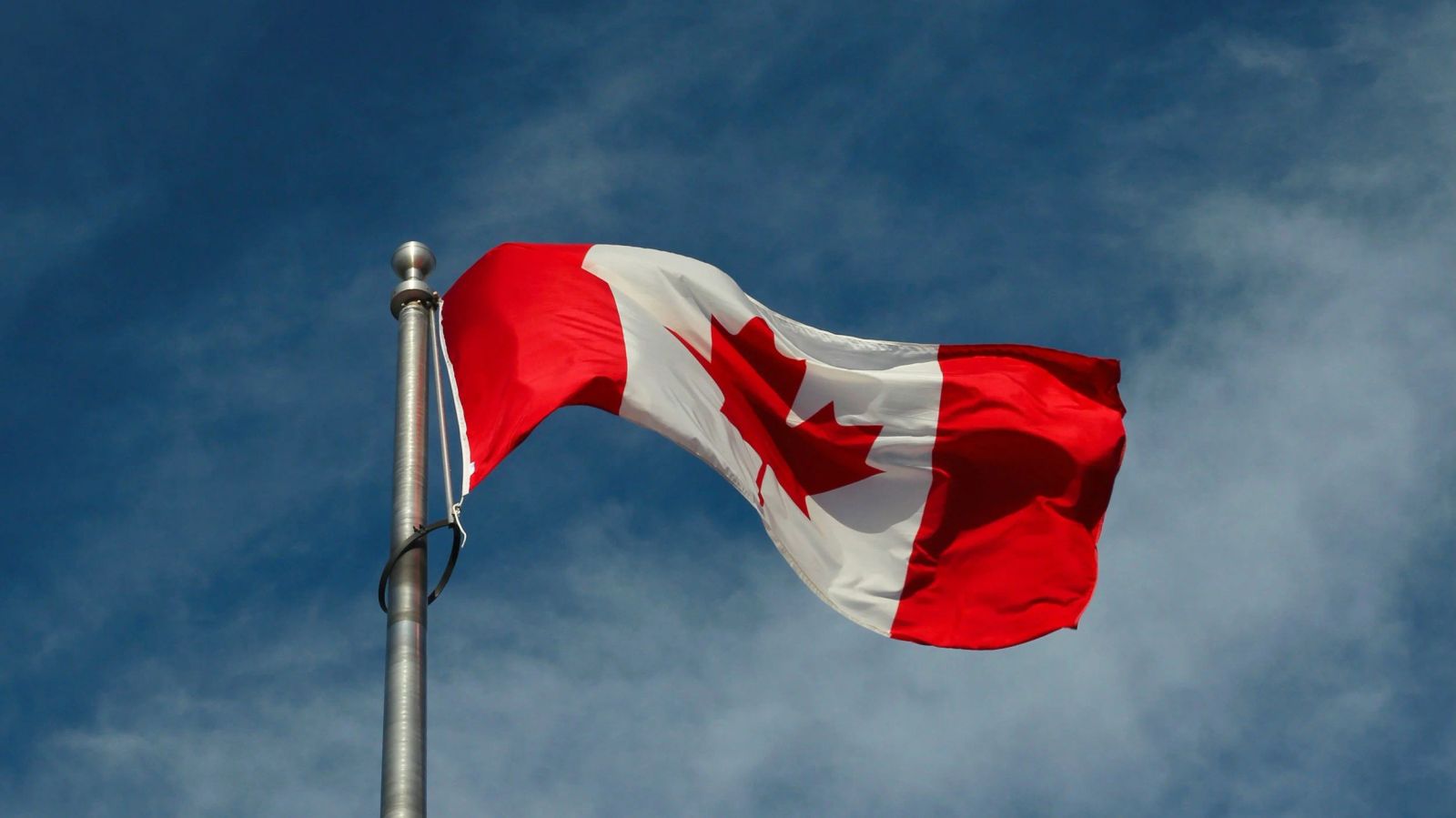 The Rise of the "Buy Canadian" Movement and What it Means for Businesses