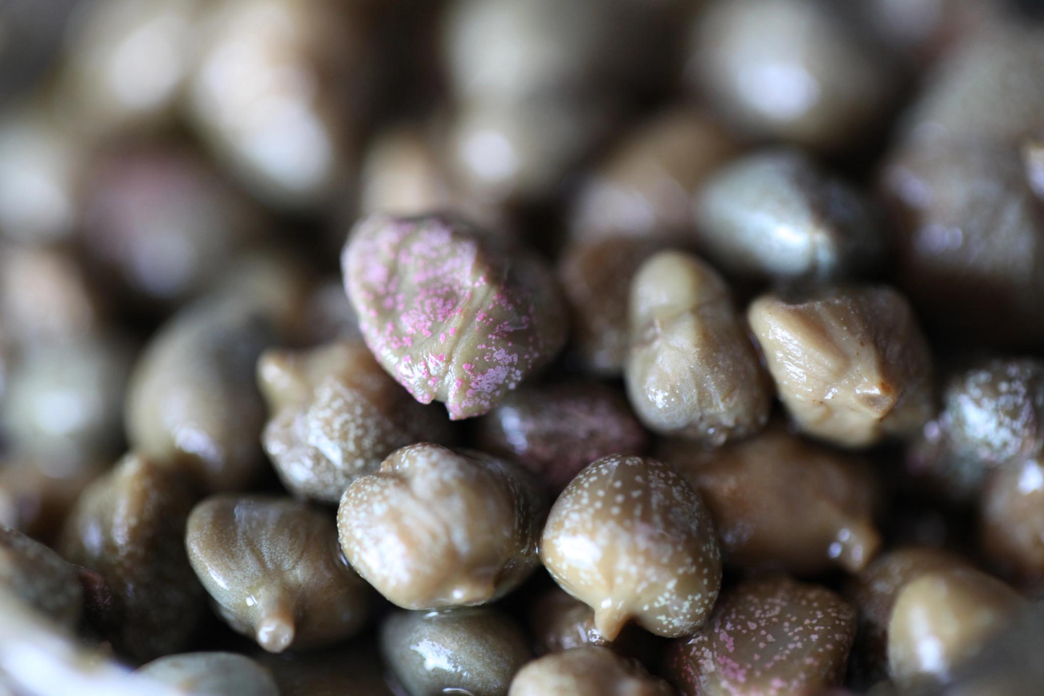 capers in oil