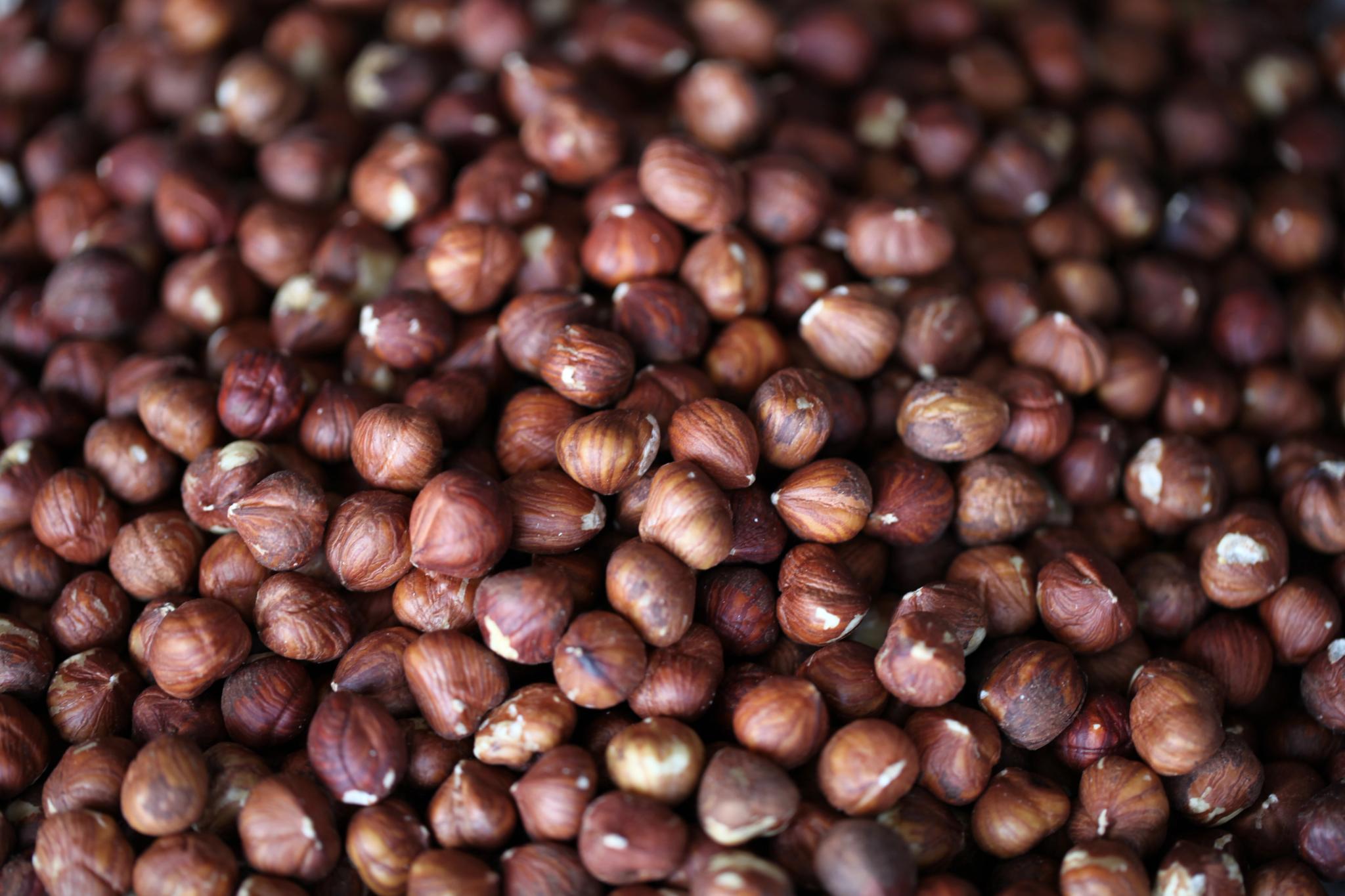 shelled hazelnuts