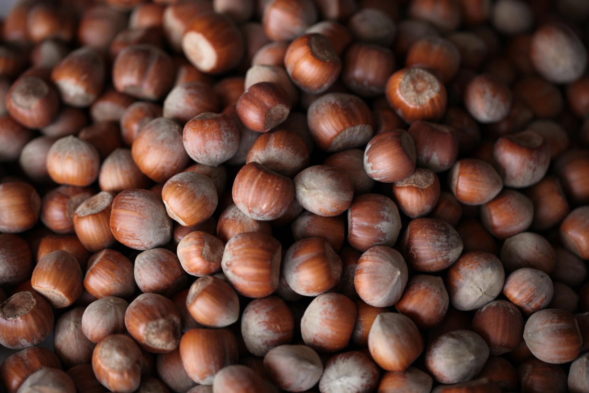 hazelnuts