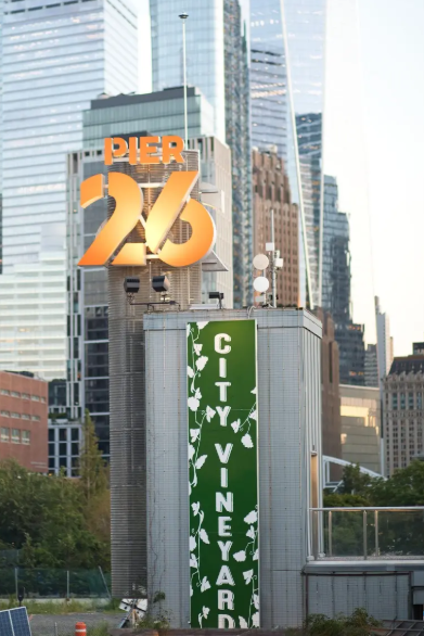 City Vineyard Virtual Tour 