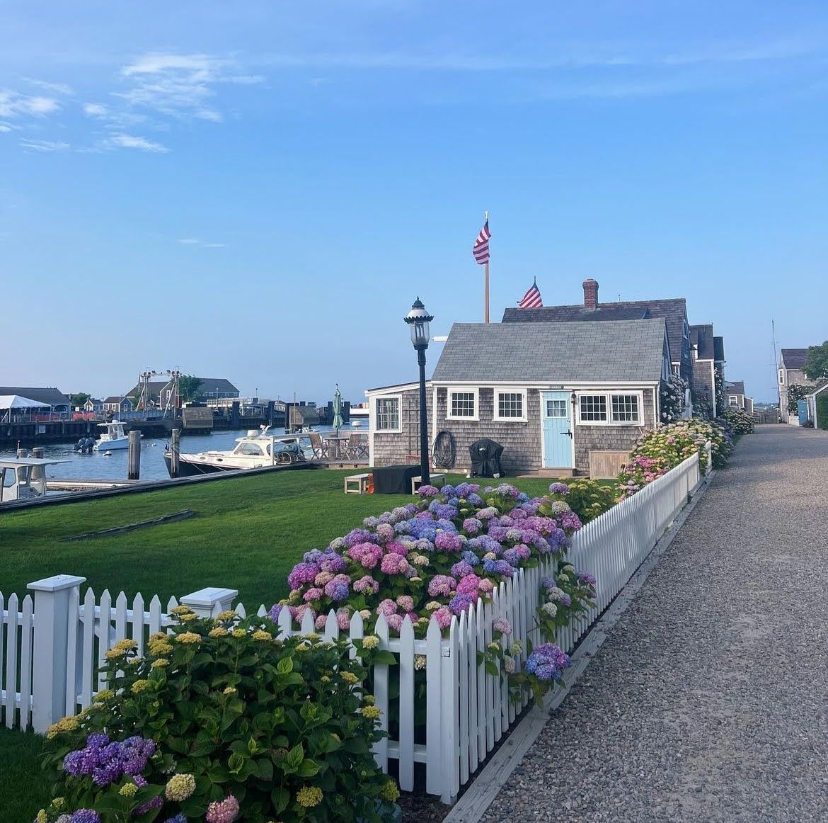 Where to See Hydrangeas on Nantucket: When to Go and Why They’re So Iconic