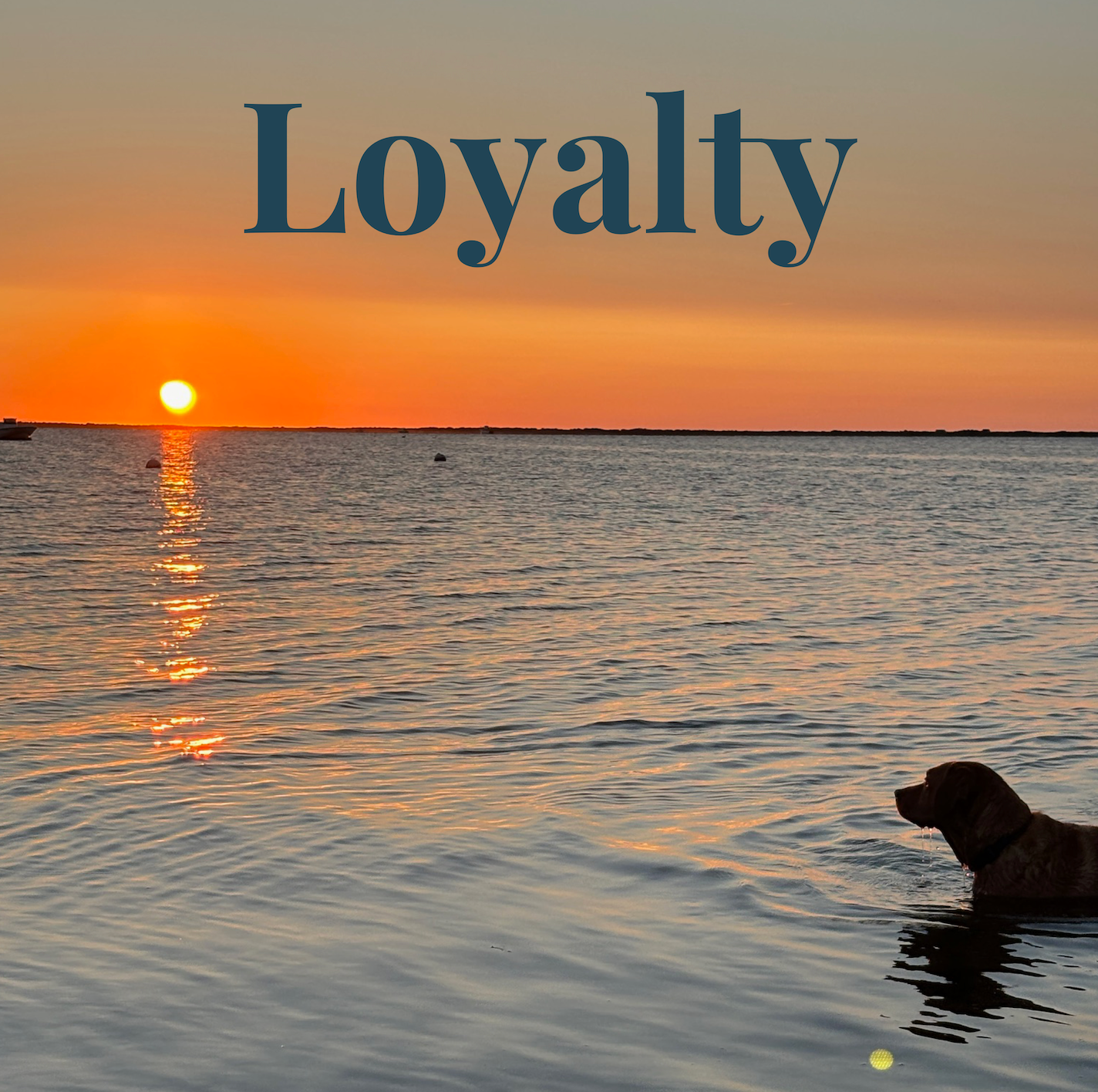 Loyalty