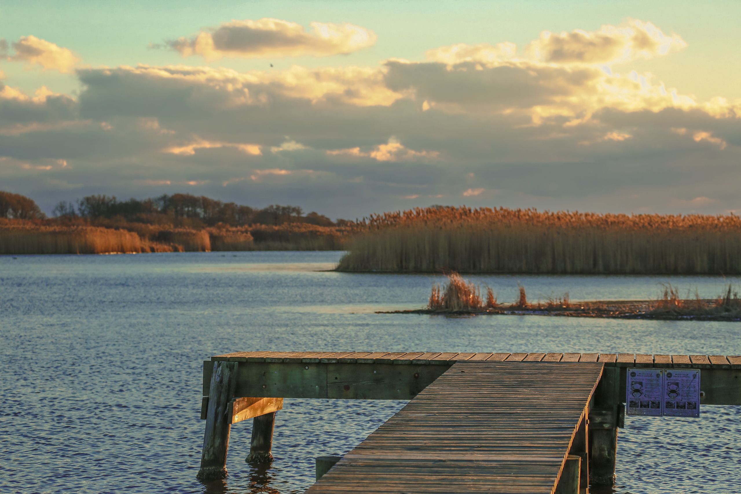 An Insider’s Guide: LRE’s Team Shares Their Fall Favorites on Nantucket