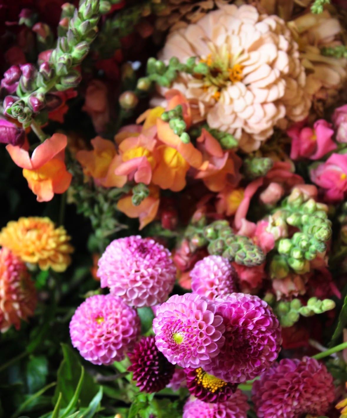 Beyond Hydrangeas: Inside the Nantucket Flower Collective