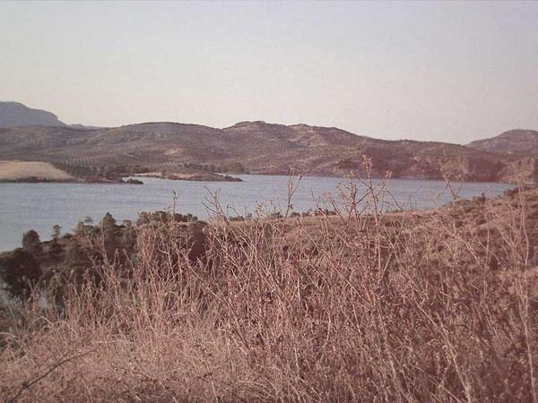 Diş Beyazlatma