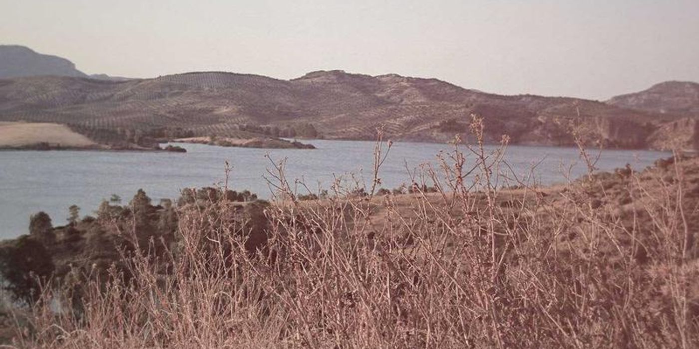 Diş Beyazlatma