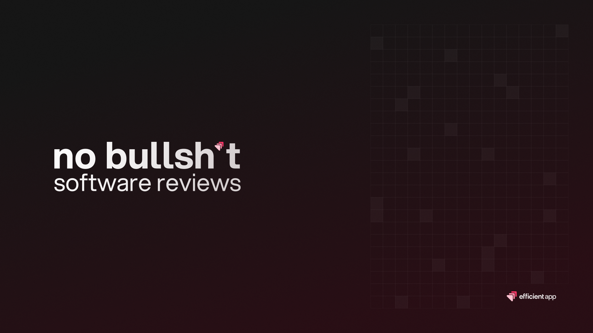 No BS Software Reviews