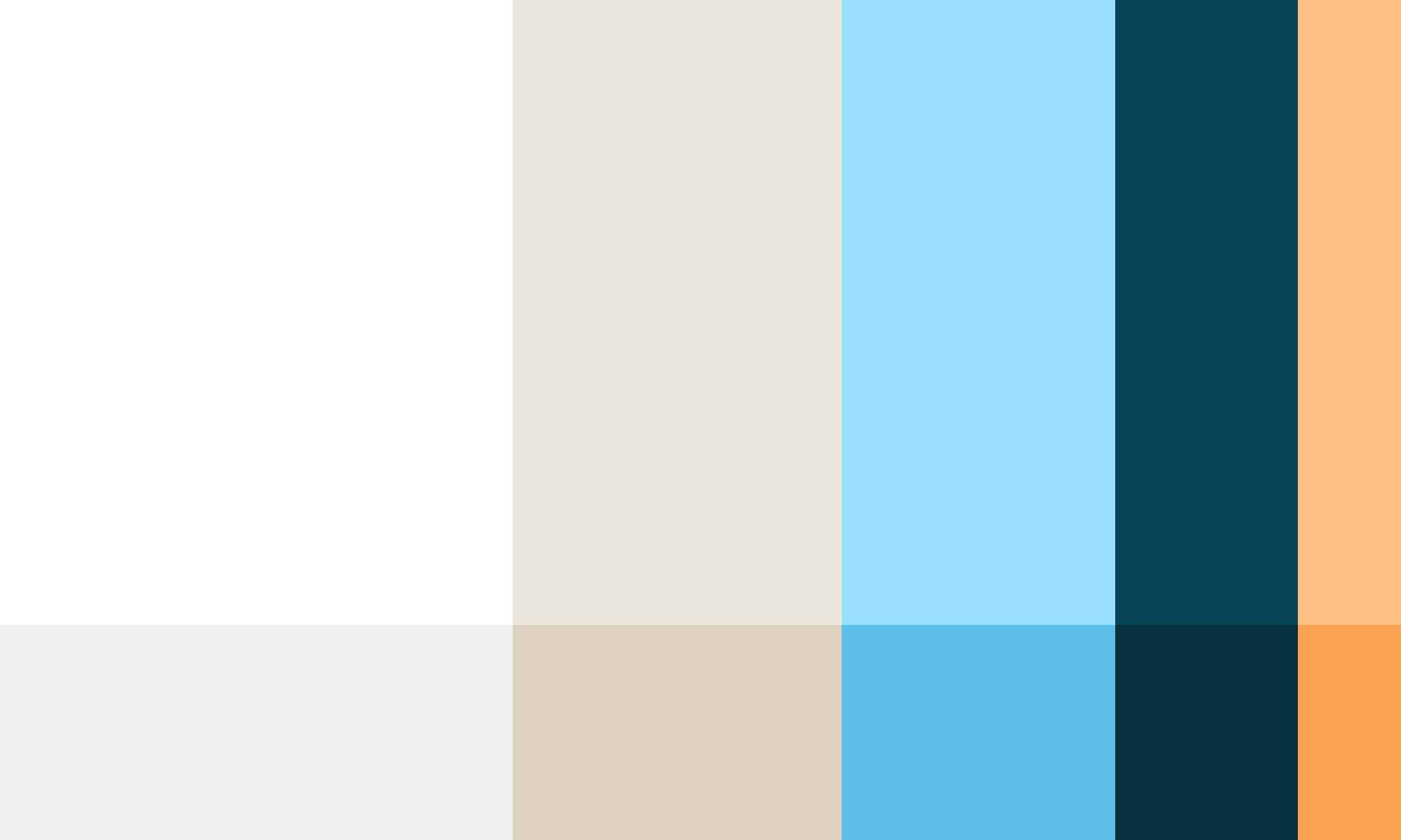 Sail brand colors