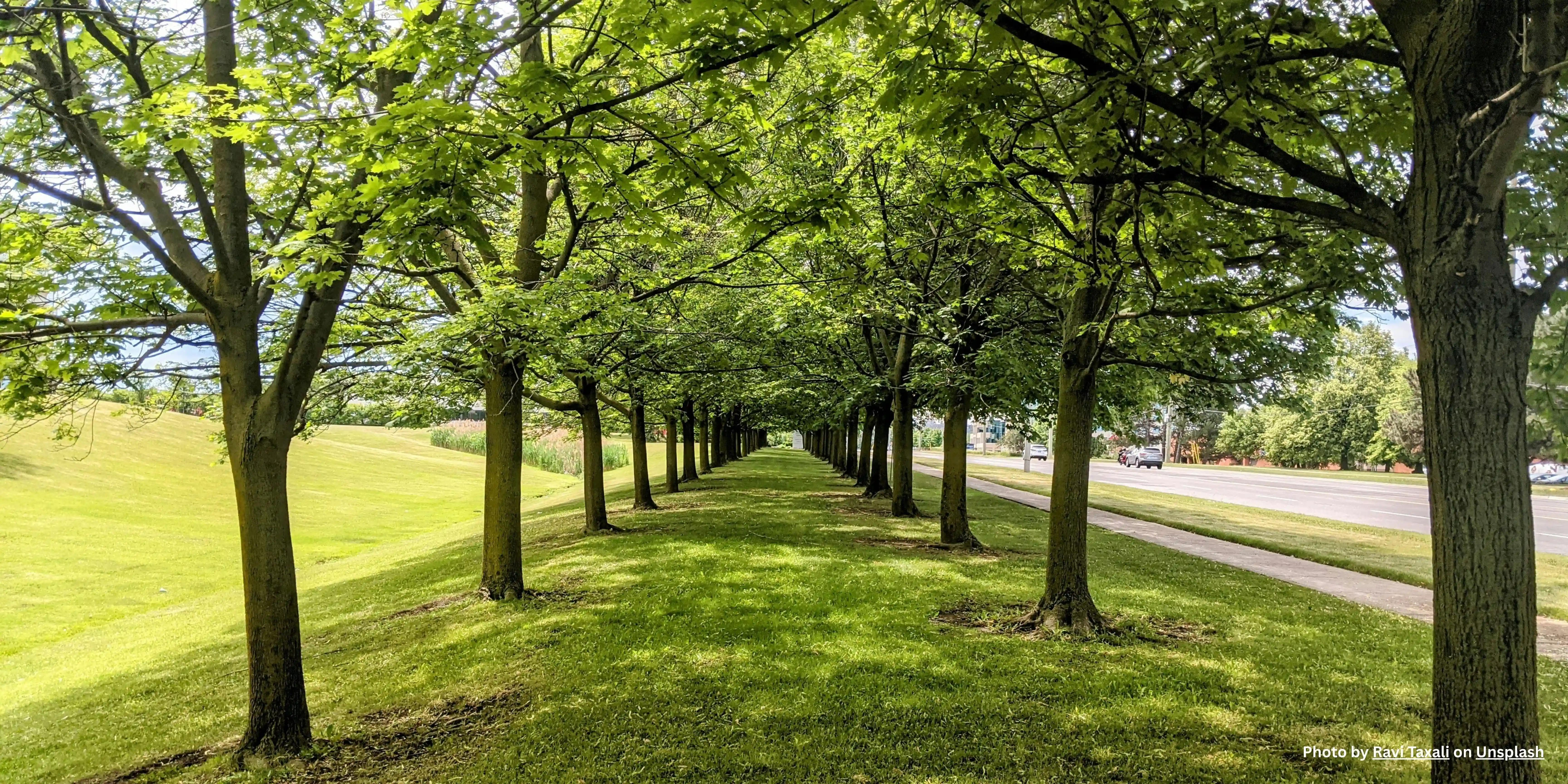 Markham HVAC Services